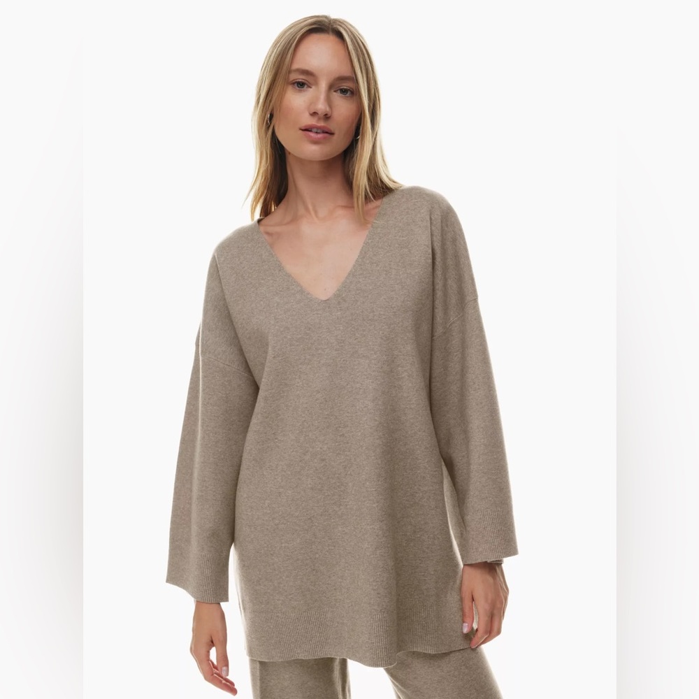 Aritzia Wilfred Free Souvenir oversized sweater.
